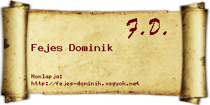 Fejes Dominik névjegykártya